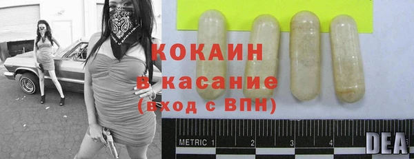шишки Пересвет