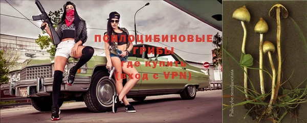 ALPHA PVP Пестово