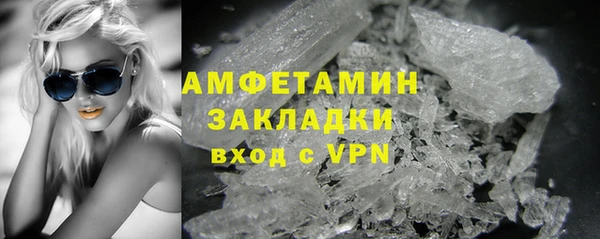 шишки Пересвет