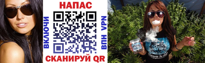 МЕГА как войти  Кологрив  Бошки марихуана план 